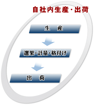自社内生産・出荷