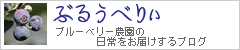 ぶるぅべりぃブログ