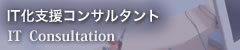 IT化支援コンサルタント