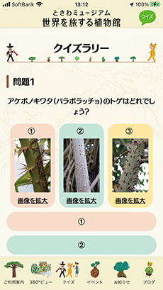 app_quiz.png